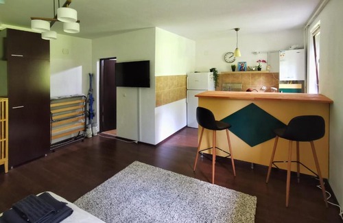 Azuga Apartment | Studio Azuga