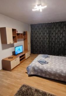 Singeorgiu de Mures Apartment | Studio BDN