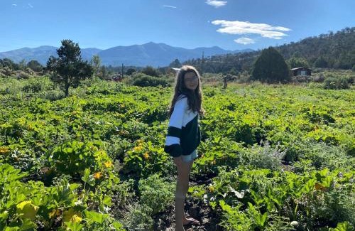 San Cristobal House | Studio Cabin Suite on Organic Farm Stay near Taos, New Mexico
