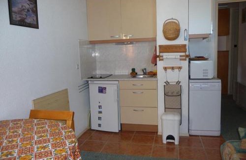 Prapoutel Apartment | Studio Cabine au Pied des Pistes avec Balcon Est - 4 Couchages, TV, Cuisine équipée, Casier à Ski - FR-1-771-69