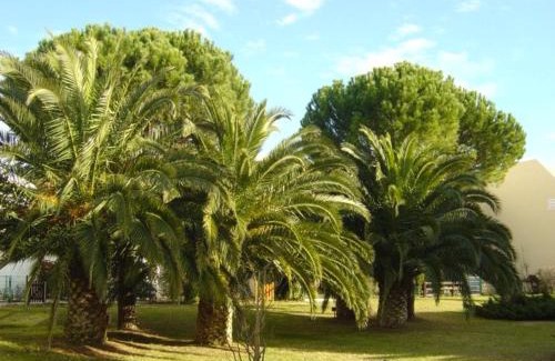 Le Grau-Du-Roi Apartment | Studio cabine rénové climatisé proche plage pour 4 pers - FR-1-307-206