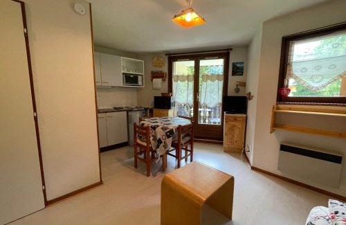 Abondance Apartment | Studio calme avec balcon sud, parking, 4 pers max – Abondance - FR-1-692-100