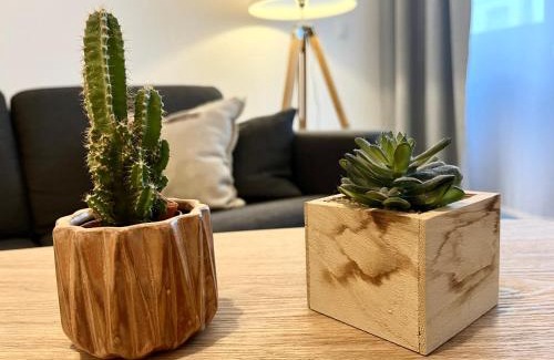 Revel Apartment | Studio centre historique RDC - WIFI