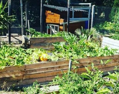 Bourges Apartment | Studio Cerf, quartier marais, terrasse rez de chaussé, jardin accessible, matelas confortable