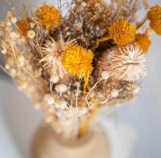 Brantome-en-Perigord Apartment | Studio cosy, neuf, hyper centre