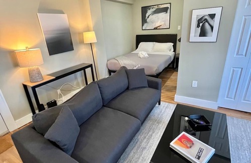 Central West End Apartment | Studio CWE near BJH, STL Zoo