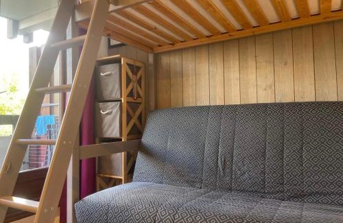 Samoens Apartment | Studio familial au centre du village avec balcon et casier à ski - FR-1-624-163