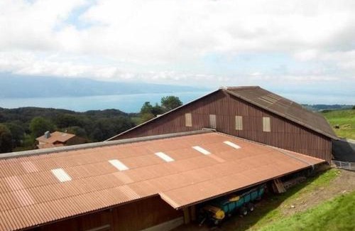 Chardonne Apartment | Studio In Renoviertes Bauernhaus 3 Pers