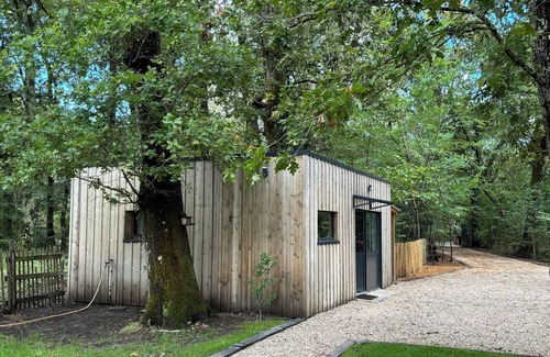 Pessac Apartment | Studio in the heart of nature!