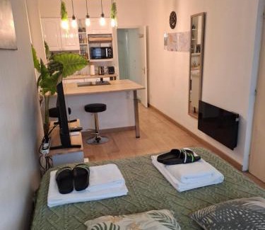 Gares Apartment | Studio La Casa De Planel Gare Saint Roch