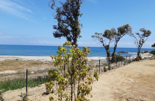 Bravone Apartment | Studio les pieds dans l'eau vue sur mer