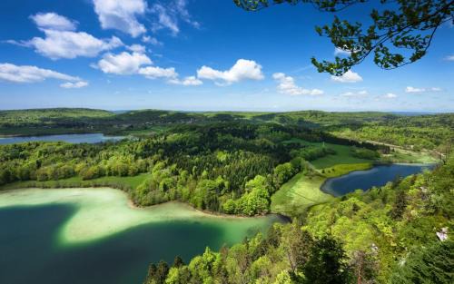 Lons-le-Saunier Apartment | Studio Lilou cocon design au cœur de Lons