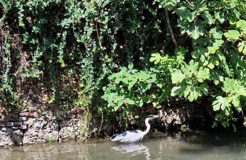 Gorla Apartment | Studio Luna Apartments