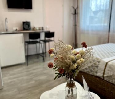 Nogent-l'Artaud Apartment | Studio Millésime