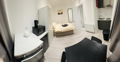 Magherafelt Apartment | Studio Near London Big Ben