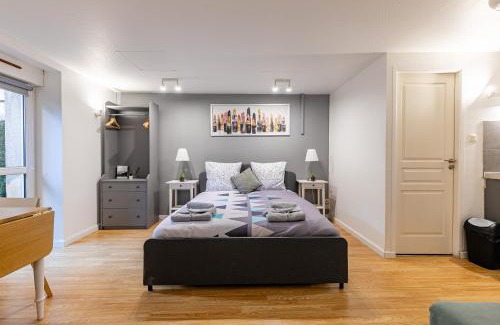 Foret Noire Apartment | Studio Orangerie & centre