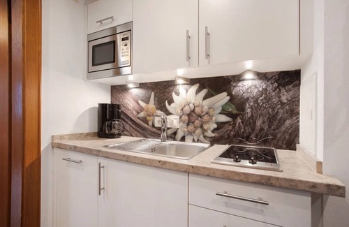 Reit im Winkl Apartment | Studio 'Panorama - Appartement 3' with Mountain View, Private Terrace and Wi-Fi