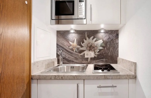 Reit im Winkl Apartment | Studio 'Panorama - Appartement 4' with Mountain View, Private Terrace and Wi-Fi