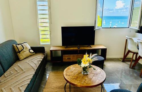 Grand Case Apartment | Studio Panoramic vue mer époustouflante et piscine à débordement