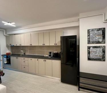 Ramnicu Valcea Apartment | Studio Park Residence Apartment