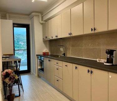 Ramnicu Valcea Apartment | Studio Park Residence Apartment