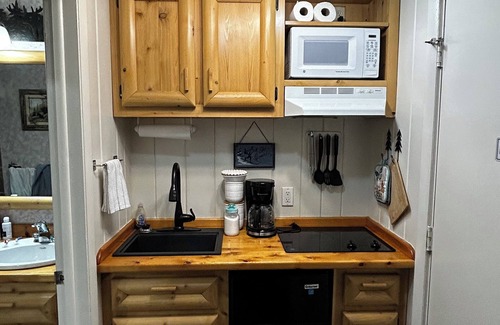 Bellaire Condo | Studio pet friendly condo free pool pass Bellaire Shanty Creek Summit Village