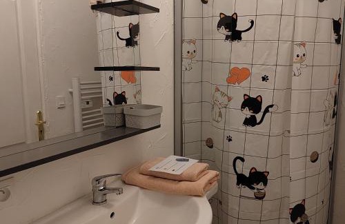 Auch Apartment | Studio plein centre