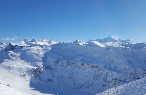 Flaine Apartment | Studio pour 4 pers., proche pistes et commerces, balcon sud, à Flaine Forêt - FR-1-687-66