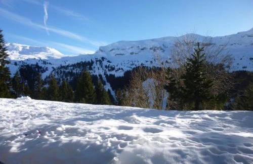 Flaine Apartment | Studio Rénové avec Cabine, Balcon et Casier à Ski, au Centre de Flaine Forêt - FR-1-425-154