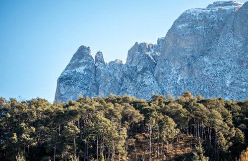 Fie allo Sciliar Apartment | Studio Santnerblick Gfliererhof