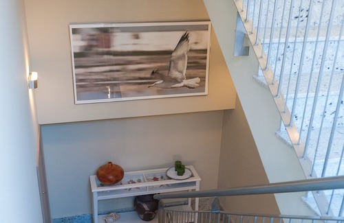 Cabo de Palos Apartment | Studio Sofa Double bed
