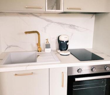 Ribecourt-Dreslincourt Apartment | Studio Voltaire