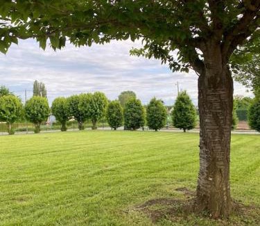 Ribecourt-Dreslincourt Apartment | Studio Voltaire