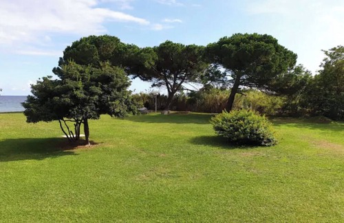 Santa-Lucia-di-Moriani Apartment | Studio vue mer Directe