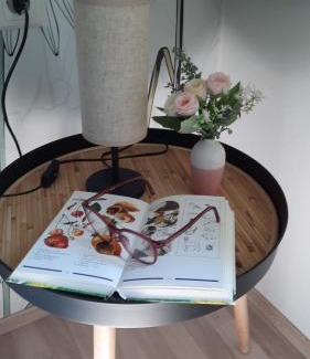 Rettenegg House | Studio Wildwiese Rettenegg