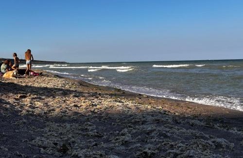 Costinesti Apartment | Studioul Epava