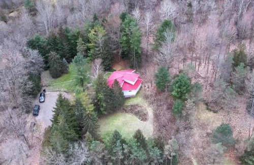 Brighton House | Stunning all season Cottage surrounded by nature!