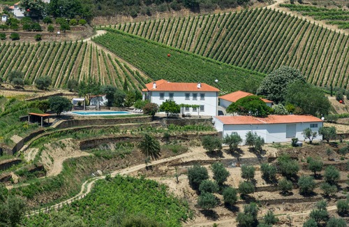 Bomfim Villa | Stunning Boutique Vineyard Stay with Pool