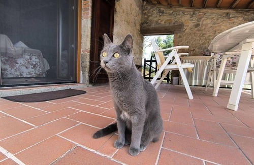 Massa Marittima House | Stunning private villa for 6 people with WIFI, TV, patio, pets allowed and panoramic view