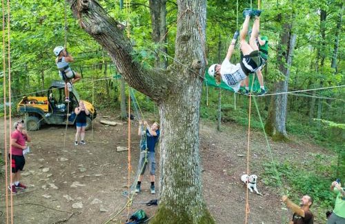 Stonewall House | Stunning Tree House Tucked Away Among the Trees near Germantown, Kentucky