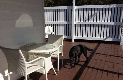 Brisbane Waterfront House | Stunning water views, peaceful setting. Dog friendly.