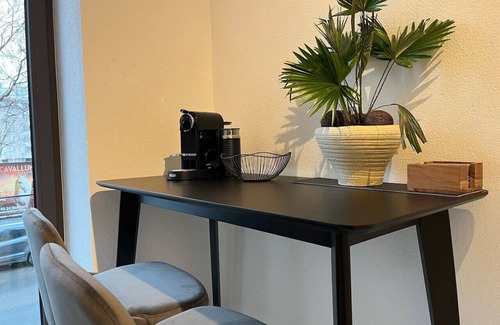 Relenberg Apartment | Stuttgart Lux Living| Stylish Living in the Center