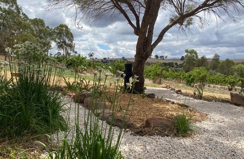 Upper Wakefield House | Stylish 3-bedroom cottage set amongst the vines