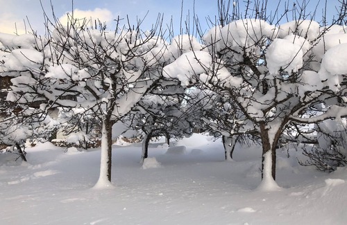 Radstadt House | Stylish country house near the old town with a large garden