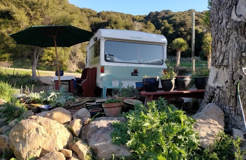 Akaroa House | Stylish vintage caravan on a farm over looking bush and river.