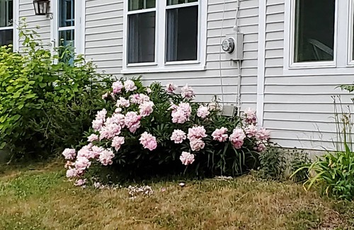 Brooksville Cottage | Stylishly updated waterview cottage near Penobscot Bay and Blue Hill sleeps 5
