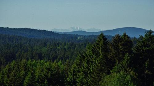 Mauth Hotel | Suit' & Frühstück Zum Latschen - Adults Only