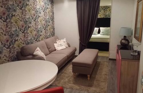 Municipality of Eindhoven Apartment | Suite 17