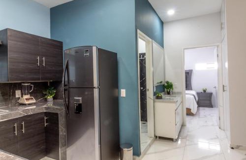 Zapotlanejo Apartment | Suite Jr Lujo en el Corazon de Zapotlanejo 203