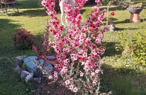 Velletri Villa | Suite Matrimoniale in Villa Zona Panoramica